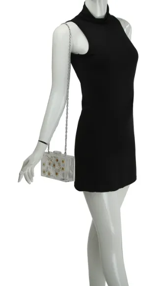 Lovely Acrylic Clutch