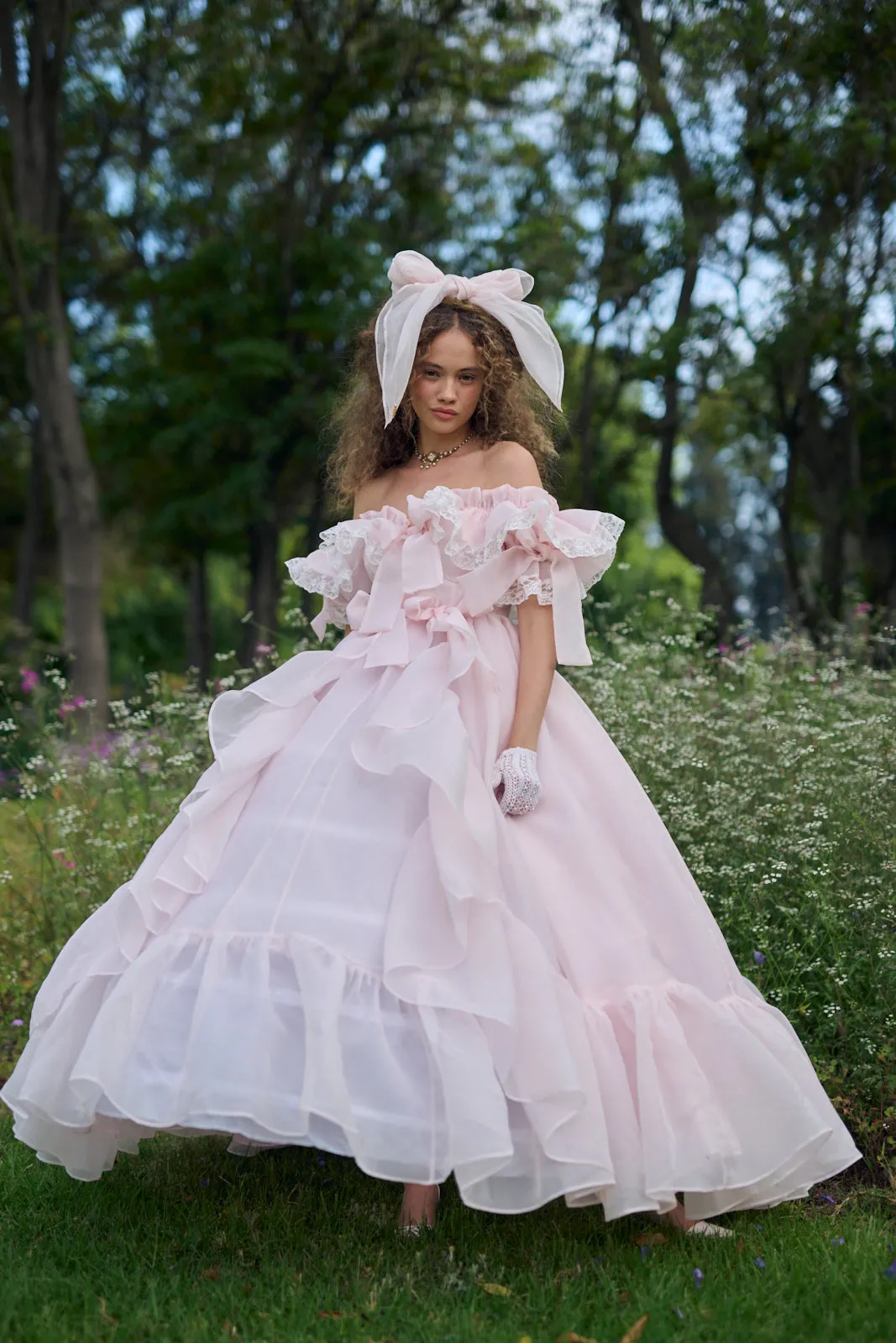 The Confection Carriage Gown